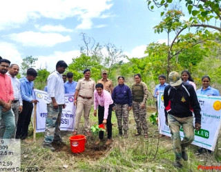 World Environment Day 2025 